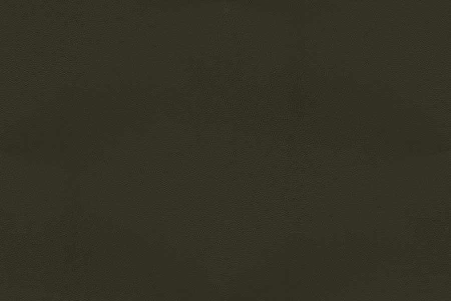 Dark green-40676