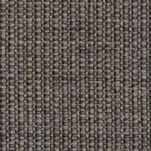 Canvas 0264