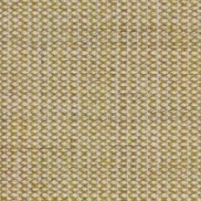 Canvas 0414