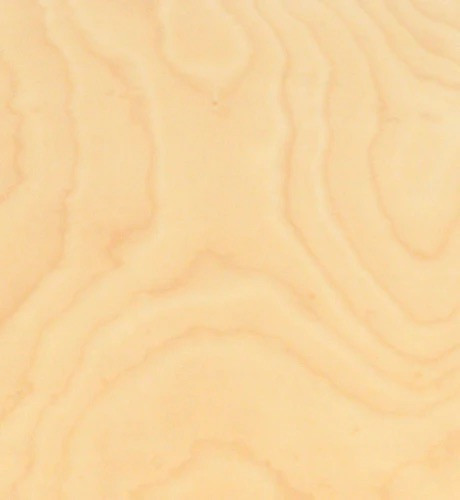 Natural Beech